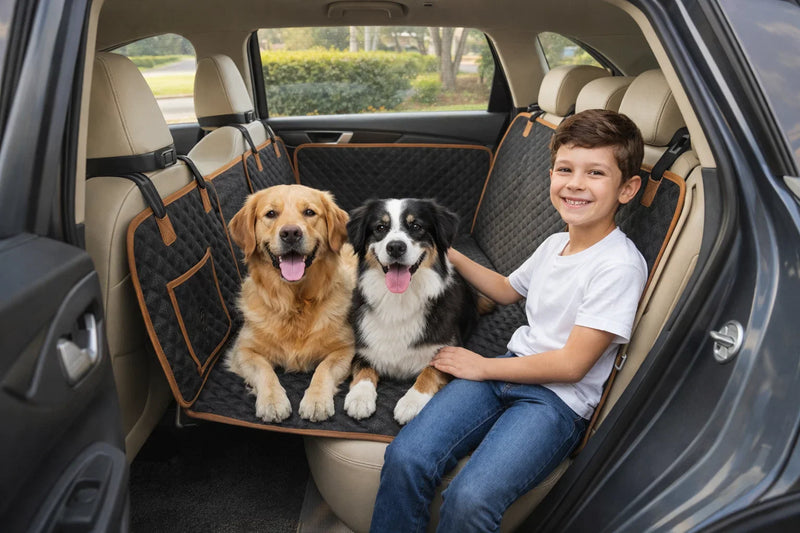 Dog Car Travel Safety Tips Every Pet Parent Should Know