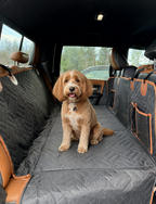 Zupetto Back Seat Extender for Dogs