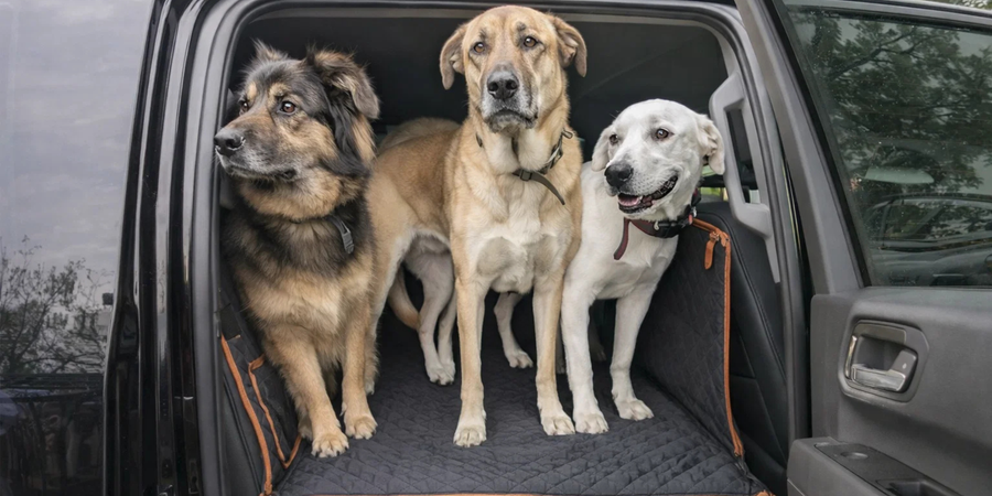Settled, secure, and comfortable